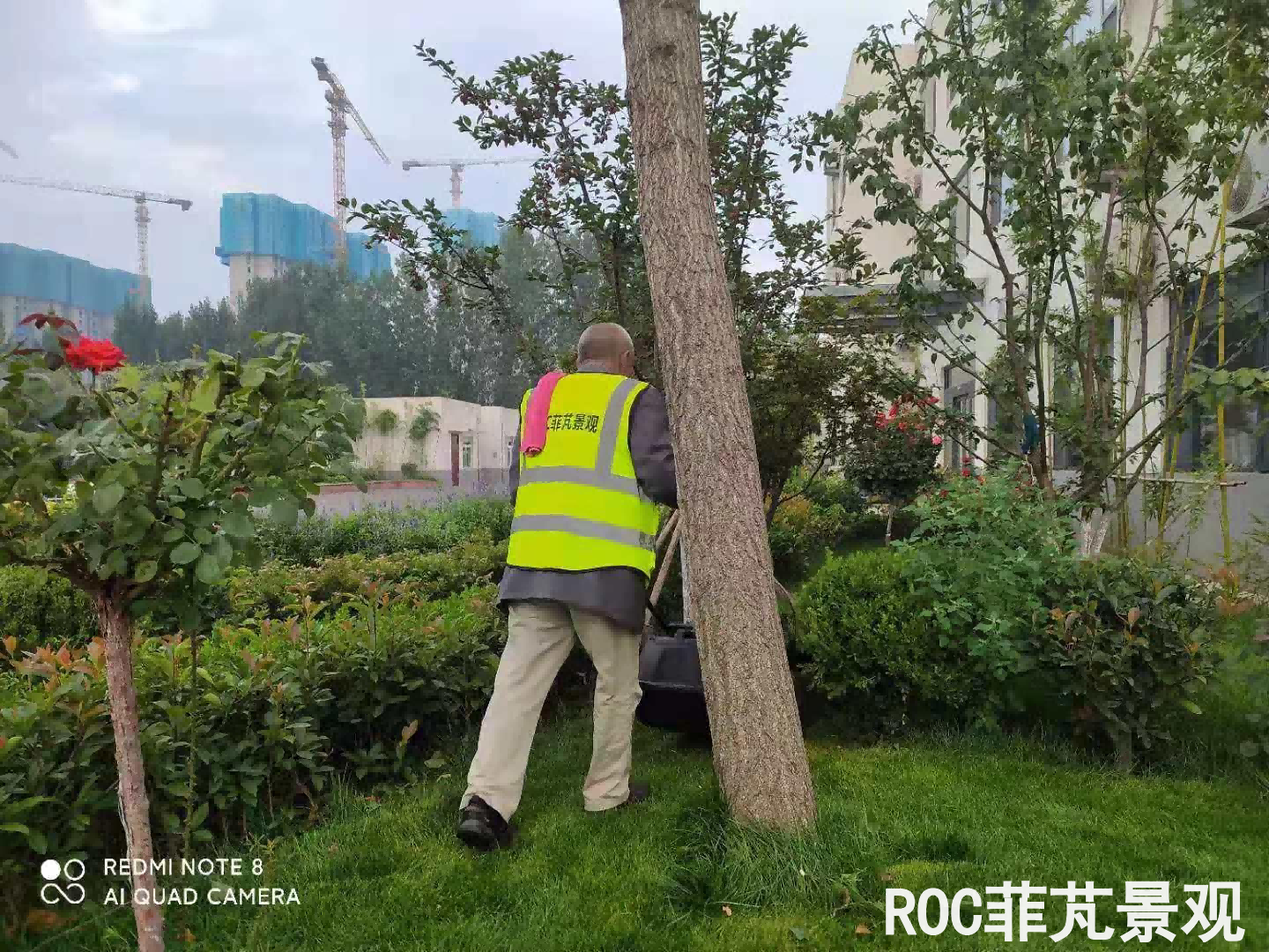 微信图片_20210713115538_05.png